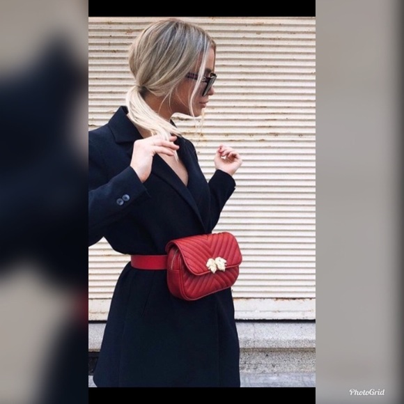 Zara Handbags - Sold Zara lion bum bag